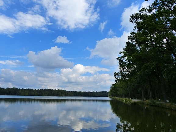 Rybník Velký Tisý Třeboňsko