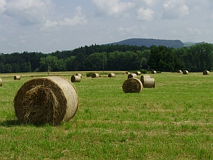 ubytování Třeboň penzion Hacienda - tipy na výlet