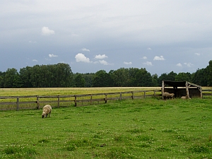 ubytování Třeboň penzion Hacienda - tipy na výlet